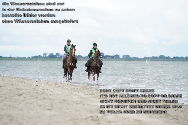 s_K3F04975.JPG